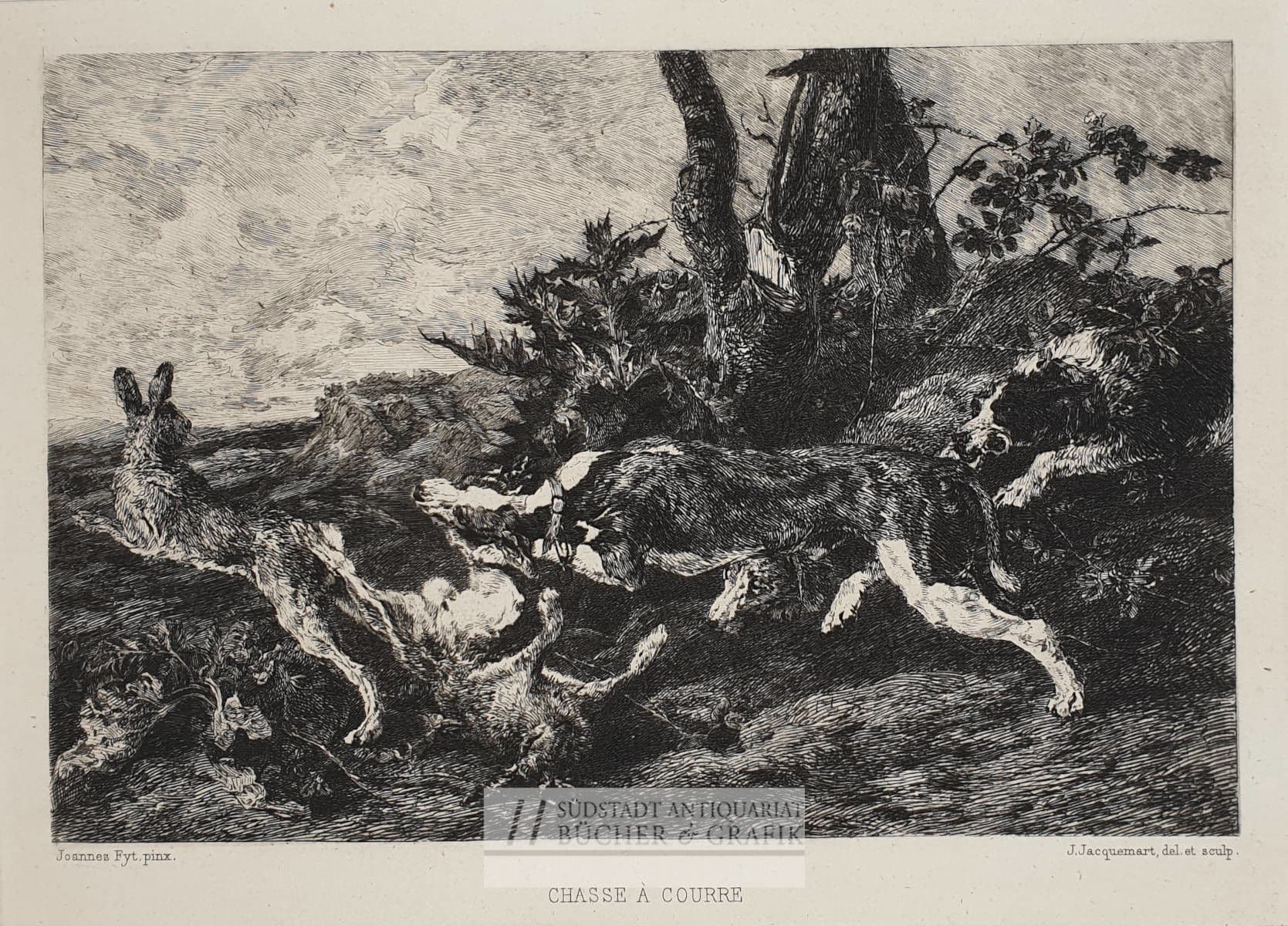 Chasse à courre.