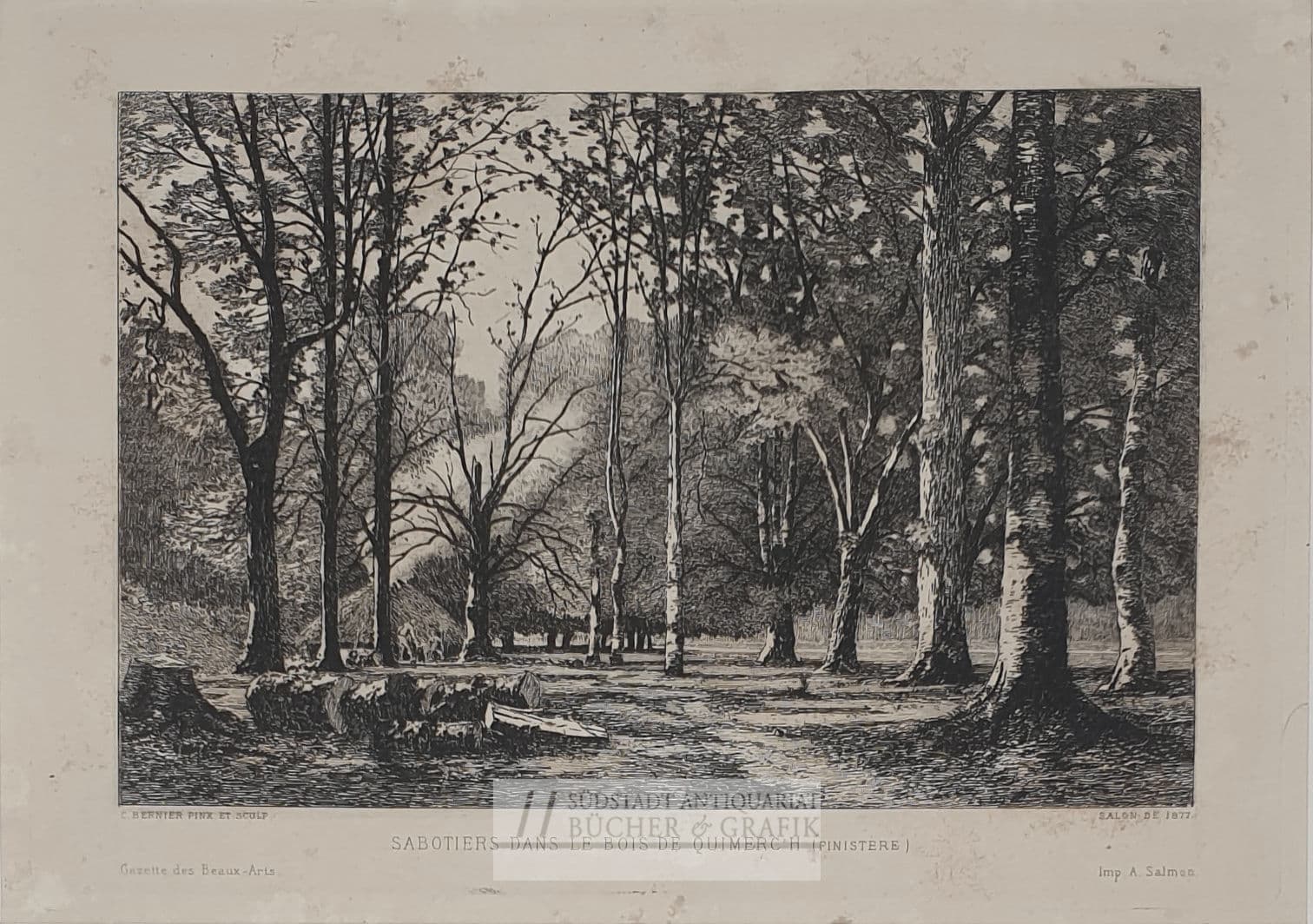 Sabotiers dans le bois de Quimerc `h.