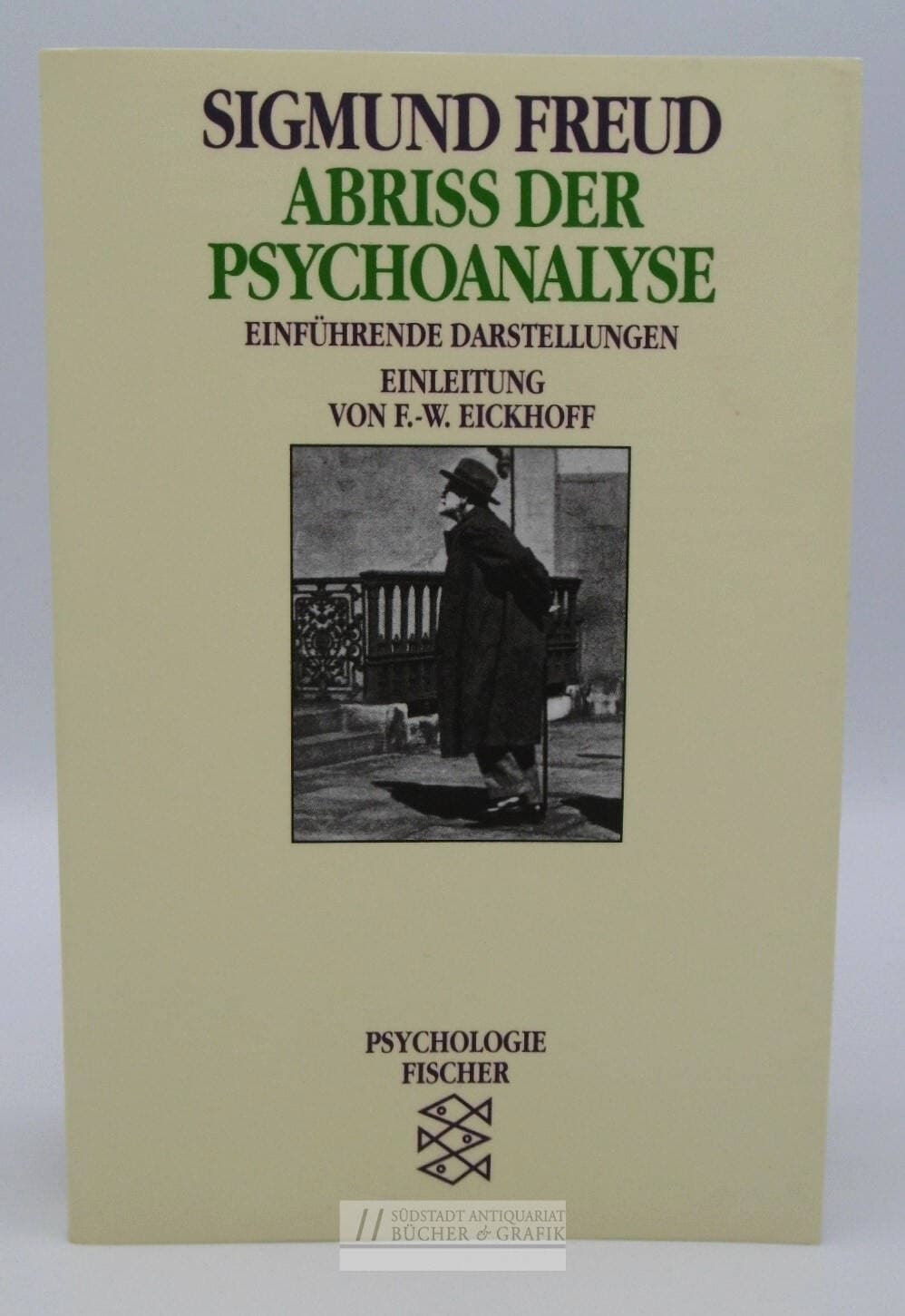 Abriss der Psychoanalyse