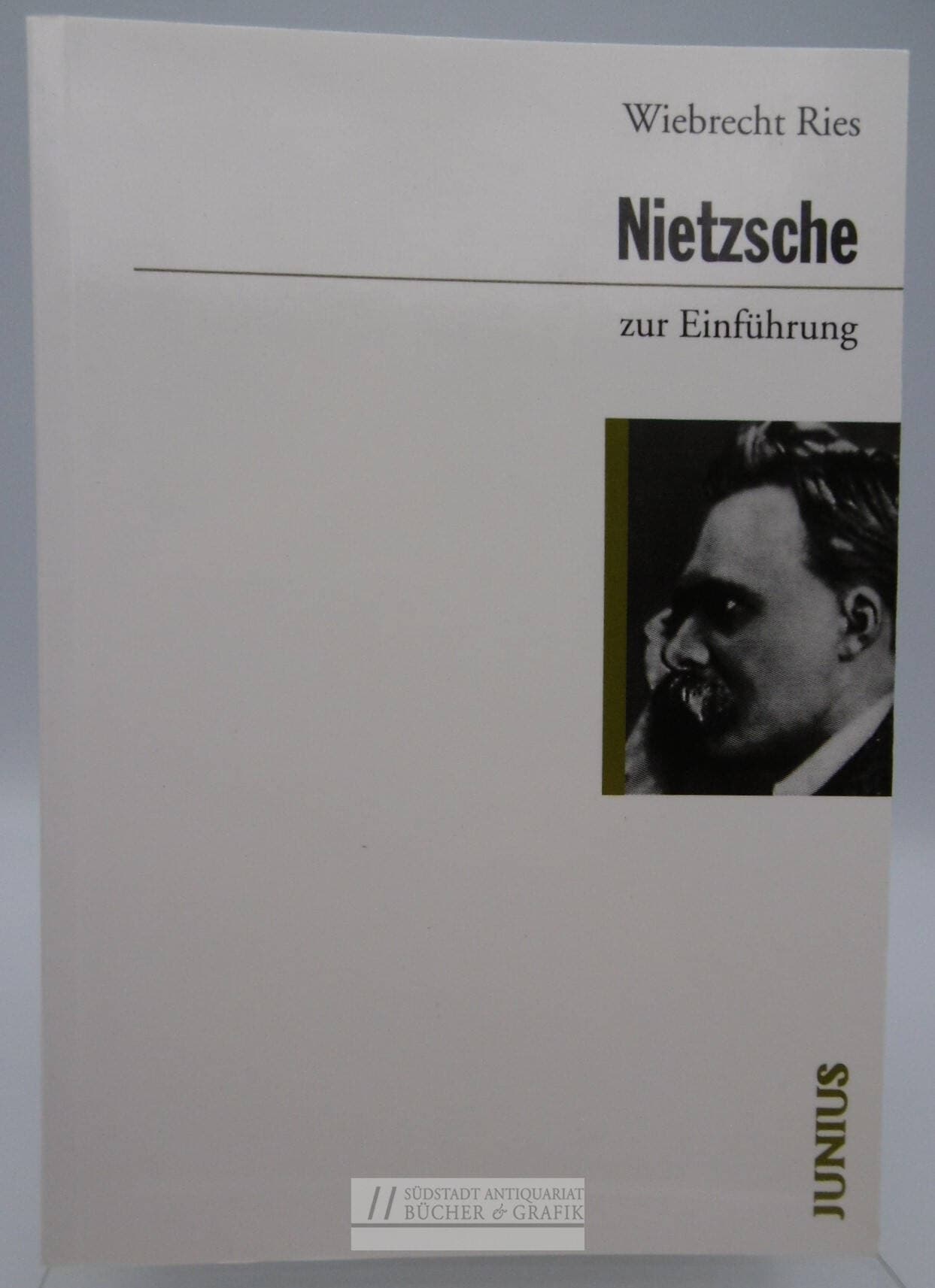 Nietzsche zur Einführung.