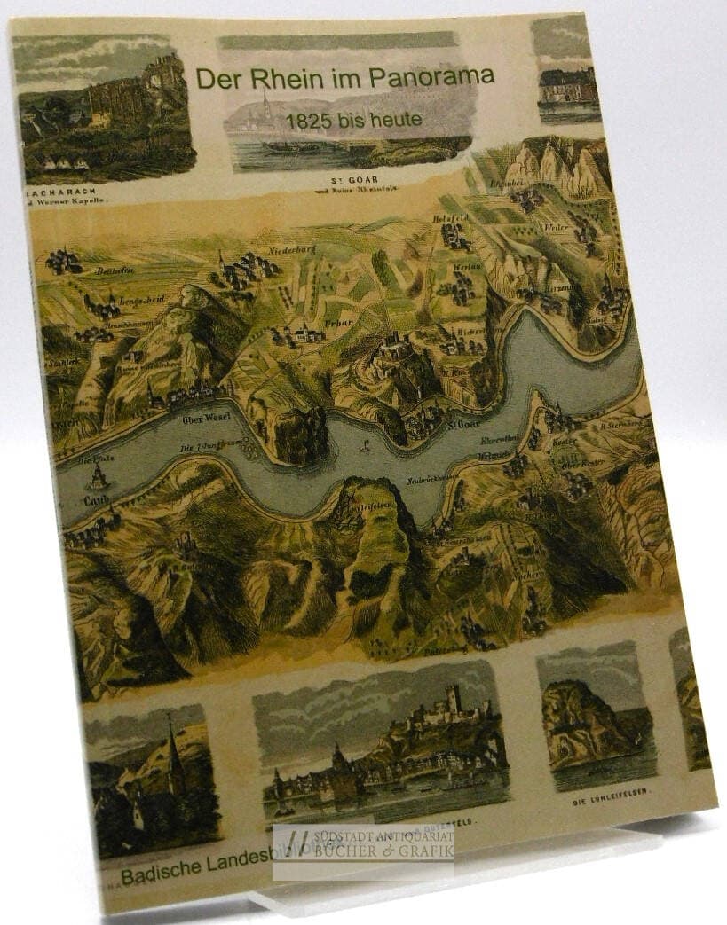 Der Rhein im Panorama