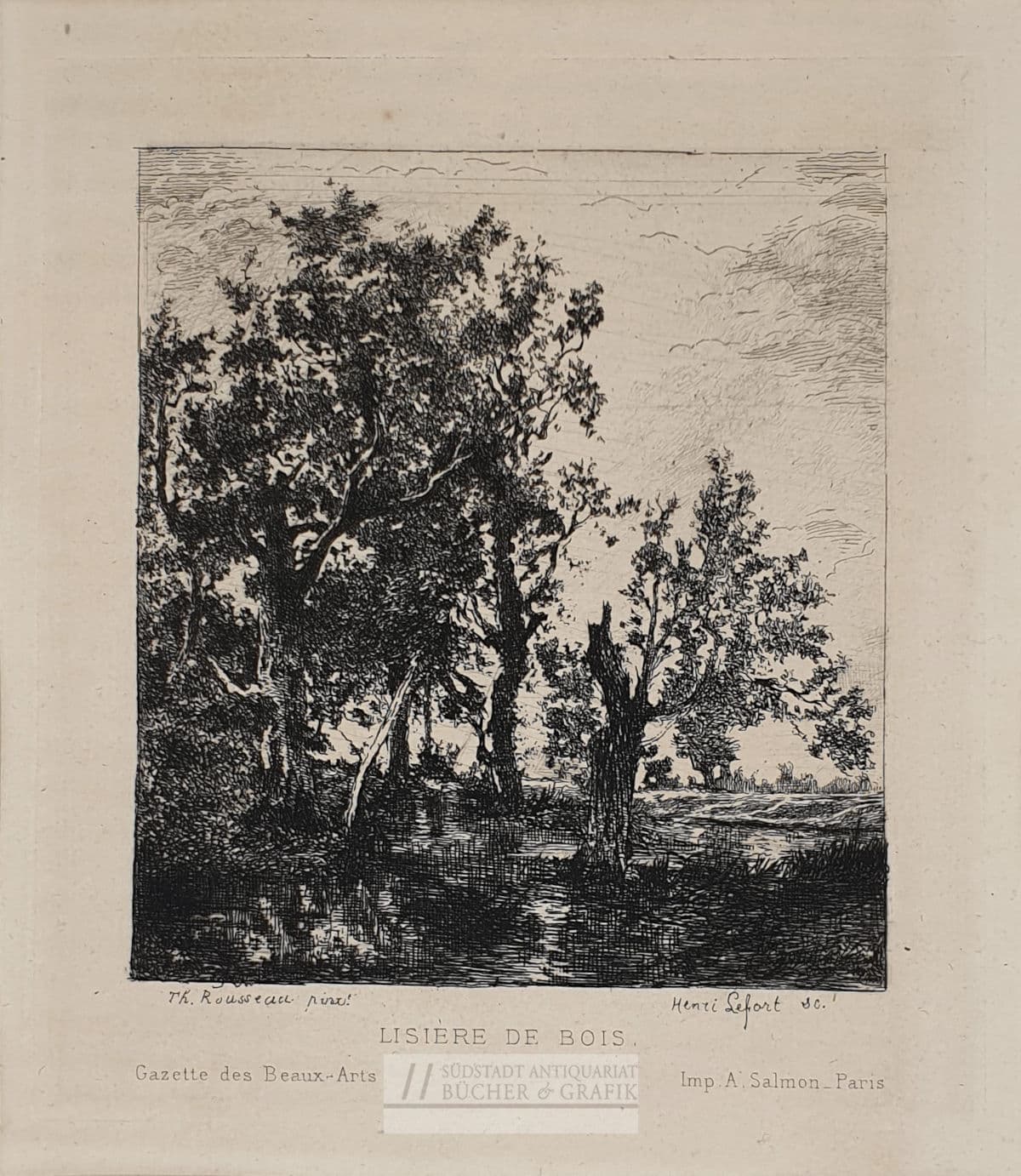 Lisière de bois.