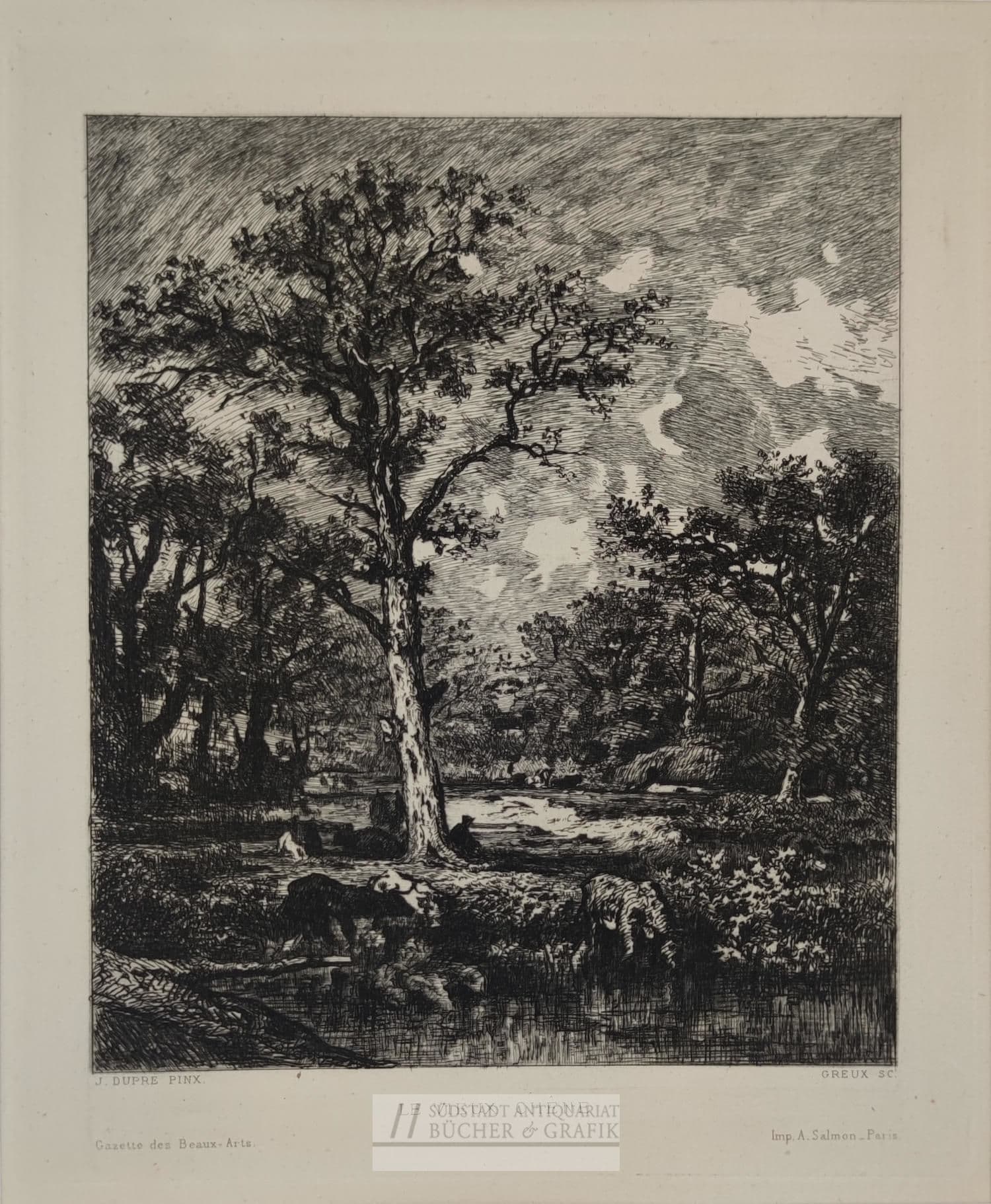 Le vieux chêne.