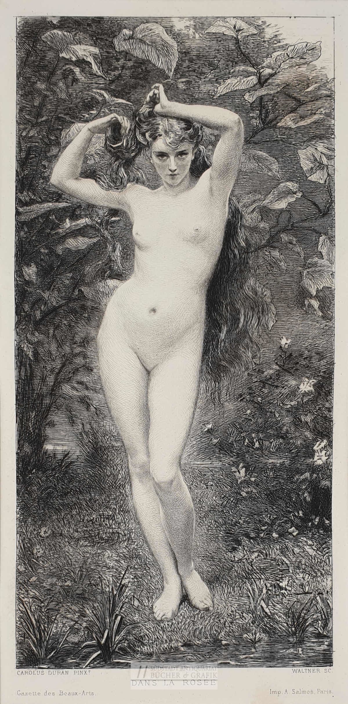 Dans la rosée.