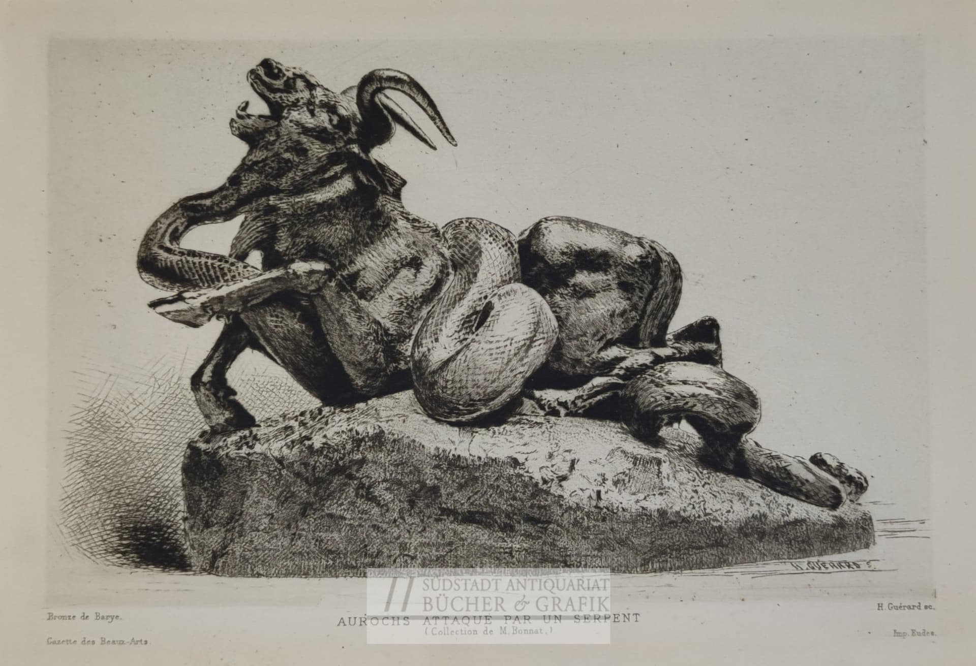 Aurochs attaqué par un serpent.