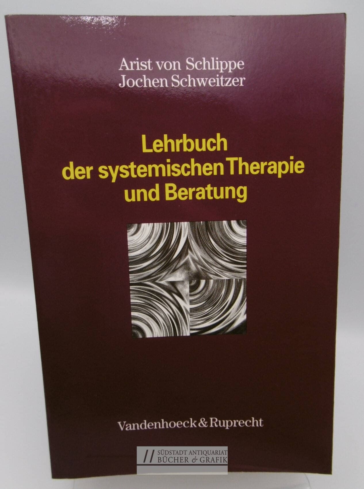 Lehrbuch der systemischen Therapie und Beratung