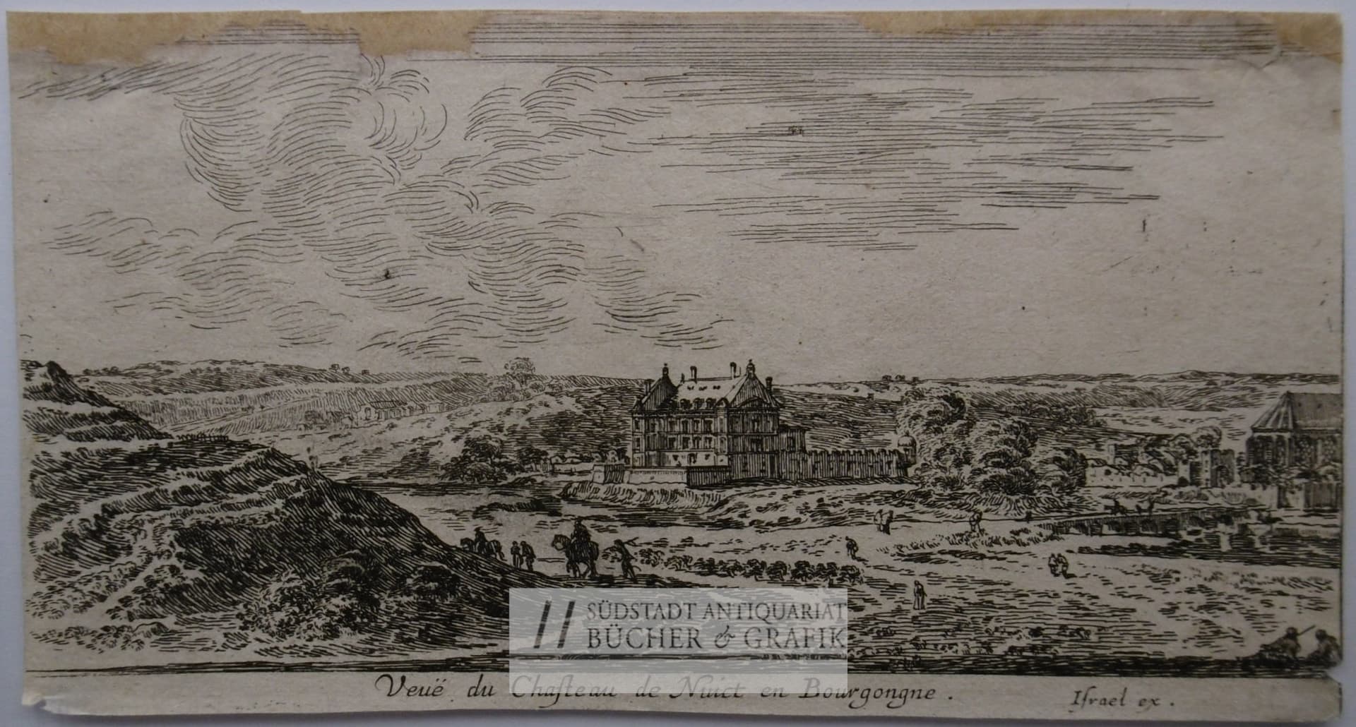 Veue du Chasteau de Nuict en Bourgongne.