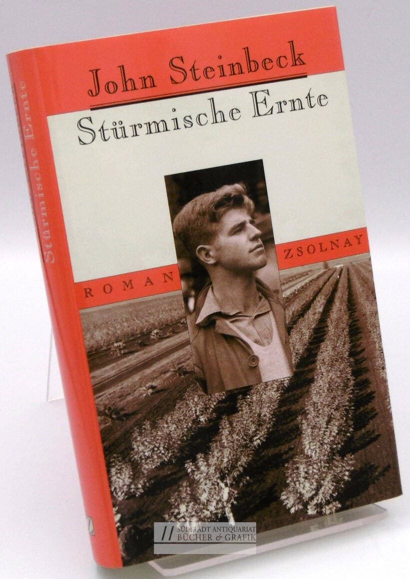 Stürmische Ernte