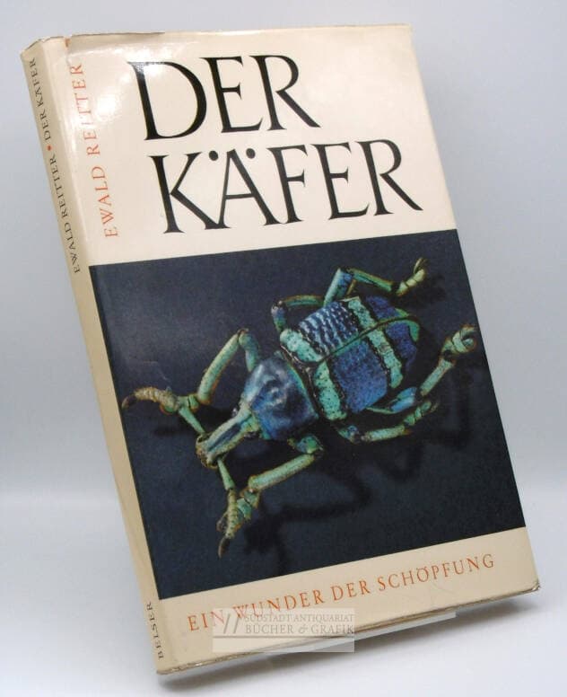 Der Käfer